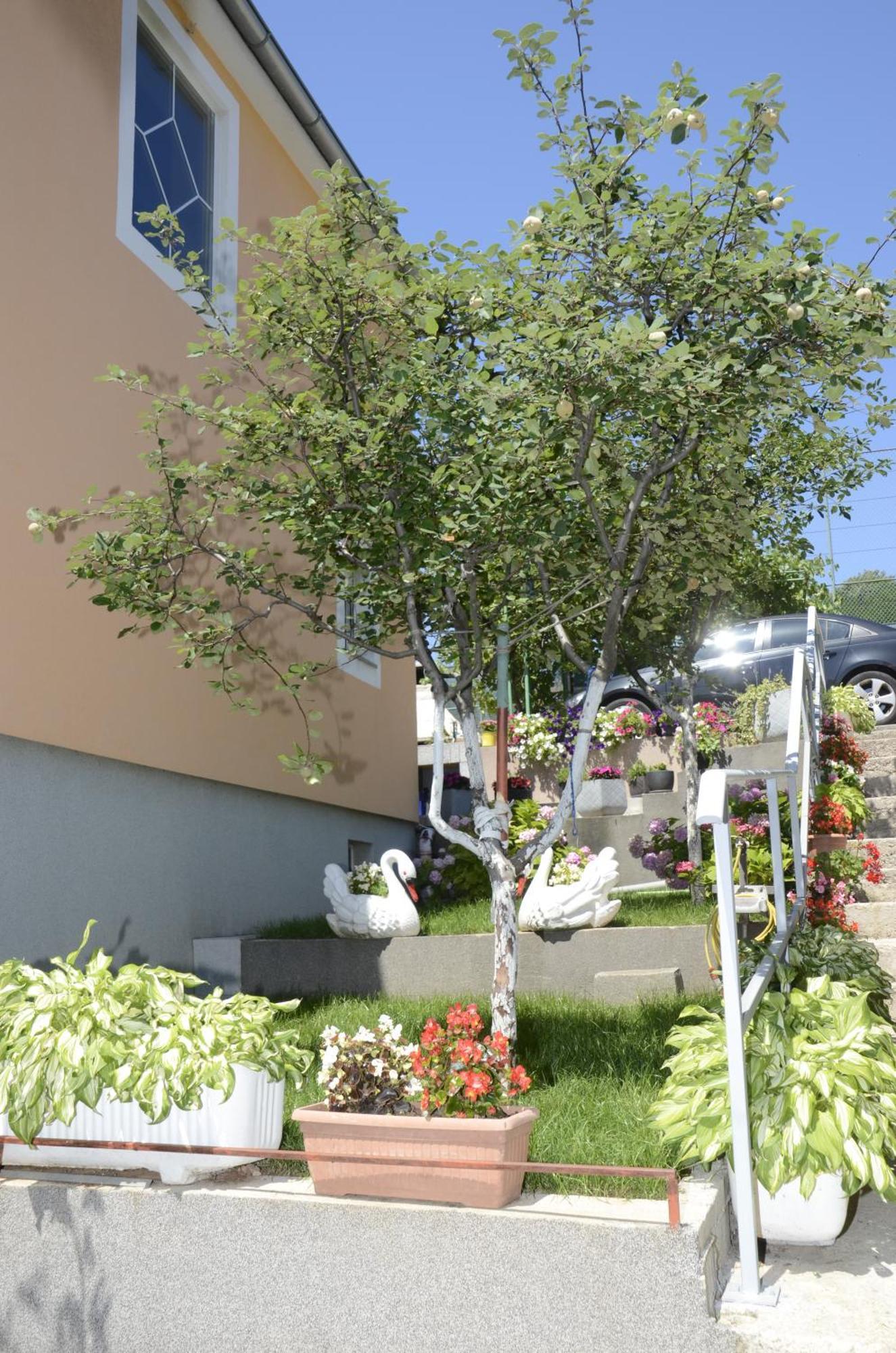 Apartments Lilly - Studio Рієка Екстер'єр фото